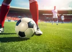 体育平台,资讯,KY体育平台,开云体育,开云体育官网,开云体育app,开云体育平台,KAIYUN,SPORTS,kaiyun登录入口