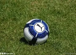 稳定币的终,极挑战点究,竟在何方,开云体育,开云体育官网,开云体育app,开云体育平台,KAIYUN,SPORTS,kaiyun登录入口