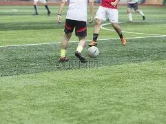 年度全球英,雄联盟荣耀,竞技场,开云体育,开云体育官网,开云体育app,开云体育平台,KAIYUN,SPORTS,kaiyun登录入口