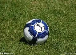 体育平台,资讯,KY体育平台,开云体育,开云体育官网,开云体育app,开云体育平台,KAIYUN,SPORTS,kaiyun登录入口