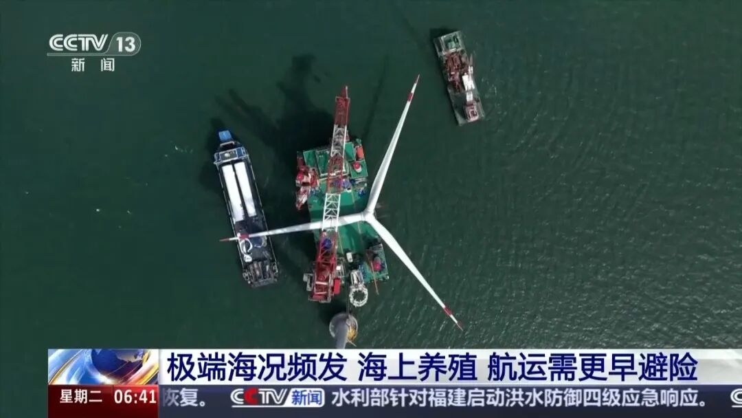 苹果 12 4：全天候心率监测功能深度解析