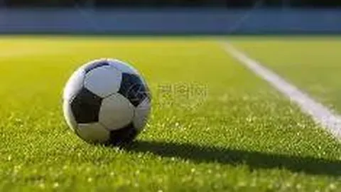 KY体育平台 产品 111330 nr7