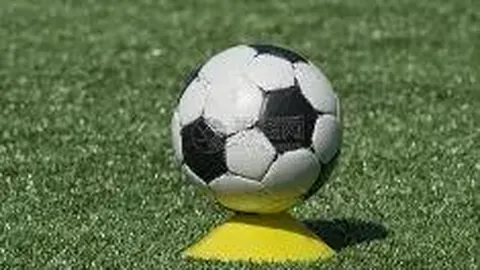 KY体育平台 产品 111632 qzc