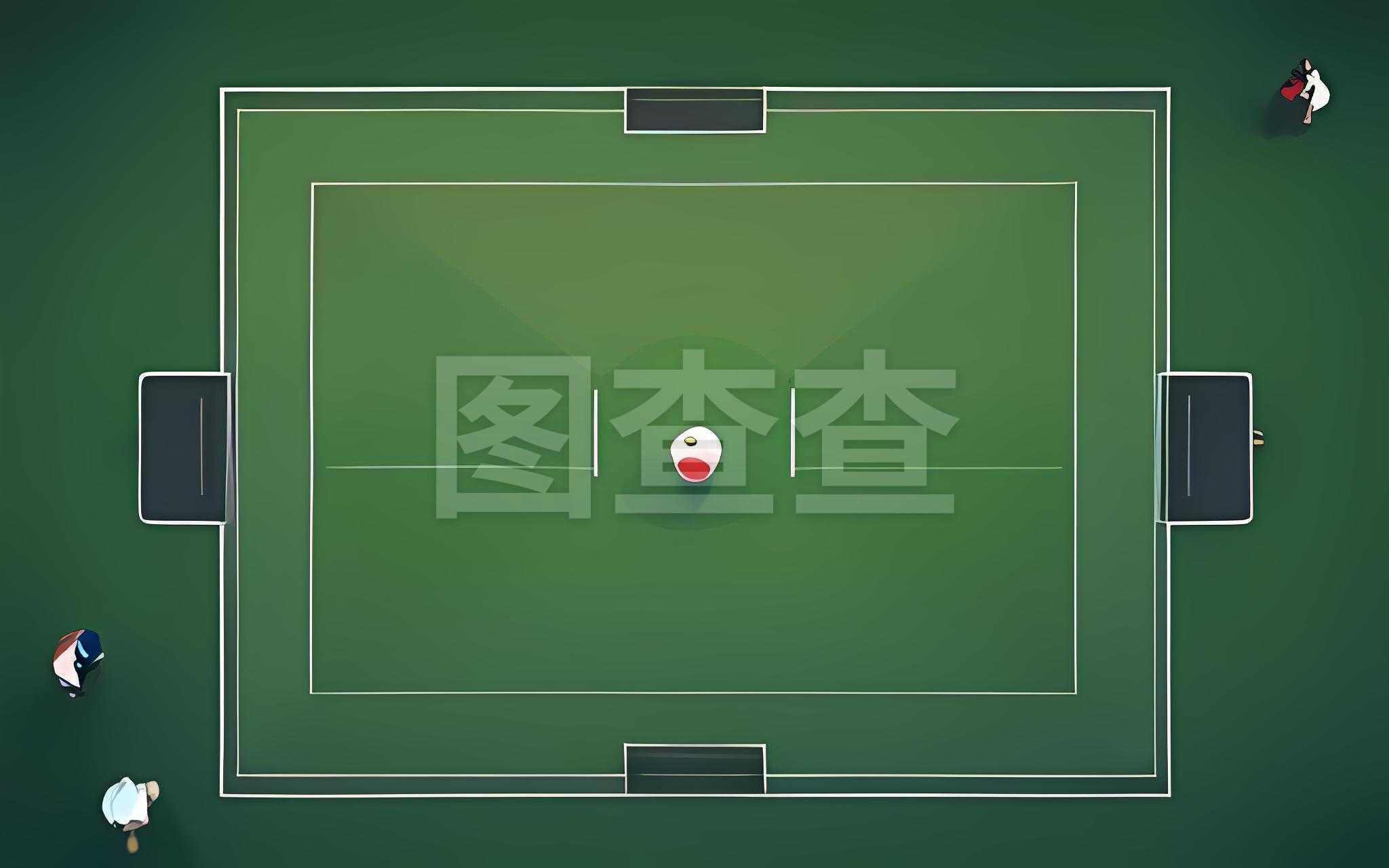 洲比賽經歷